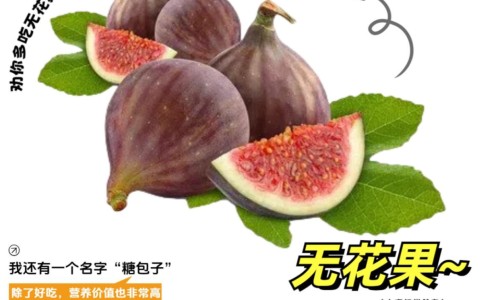 维c配伍禁忌网维生素c禁忌配伍表知识网站,分享维生素c可以和什么搭配使用大全